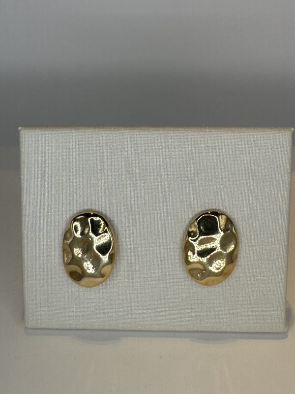 Brinco  Banhado a Ouro Chapado Orgânico