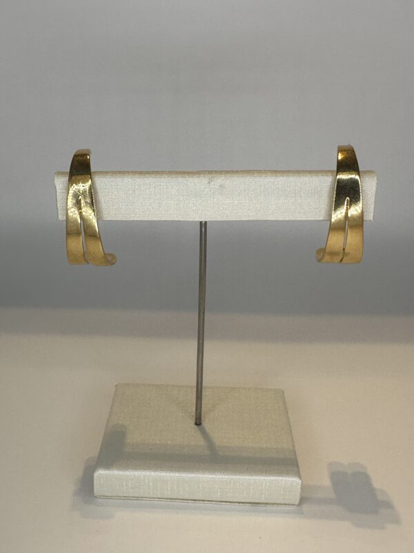 Brinco Banhado a Ouro  Pino