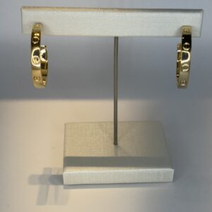 15337079038-fullsizerender-2.jpeg Brinco Banhado a Ouro Argola Inspiração