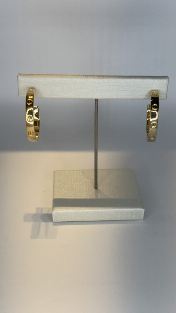 Brinco  Banhado a Ouro Argola Inspiração