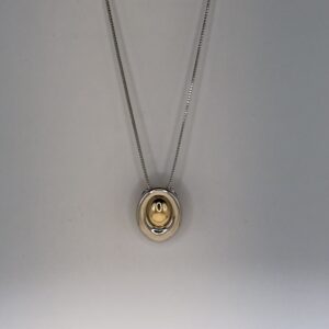 15337255012-fullsizerender-2.jpeg Colar Banho Ródio/Ouro Oval