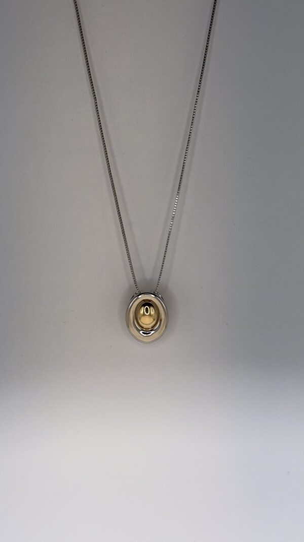 Colar Banho Ródio/Ouro  Oval