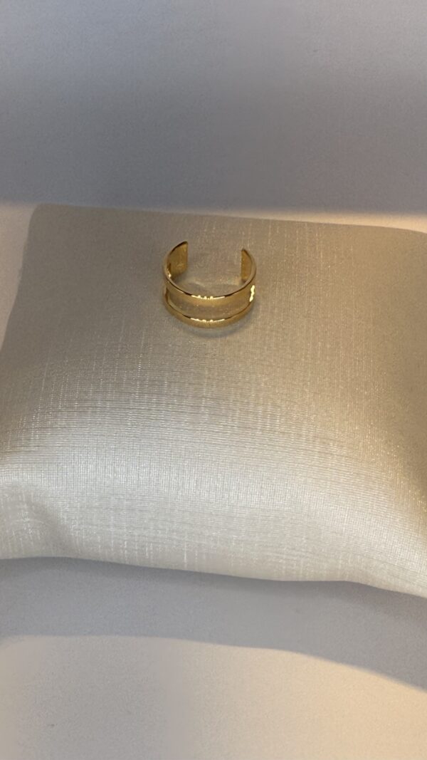 Brinco Fake Banhado  a Ouro  Argola Dupla