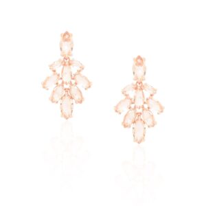 Brinco Estilo Folha Rose
