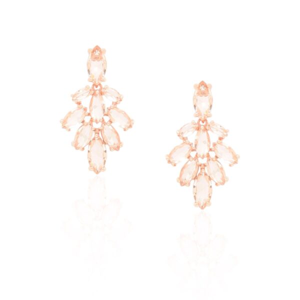 Brinco Estilo Folha Rose